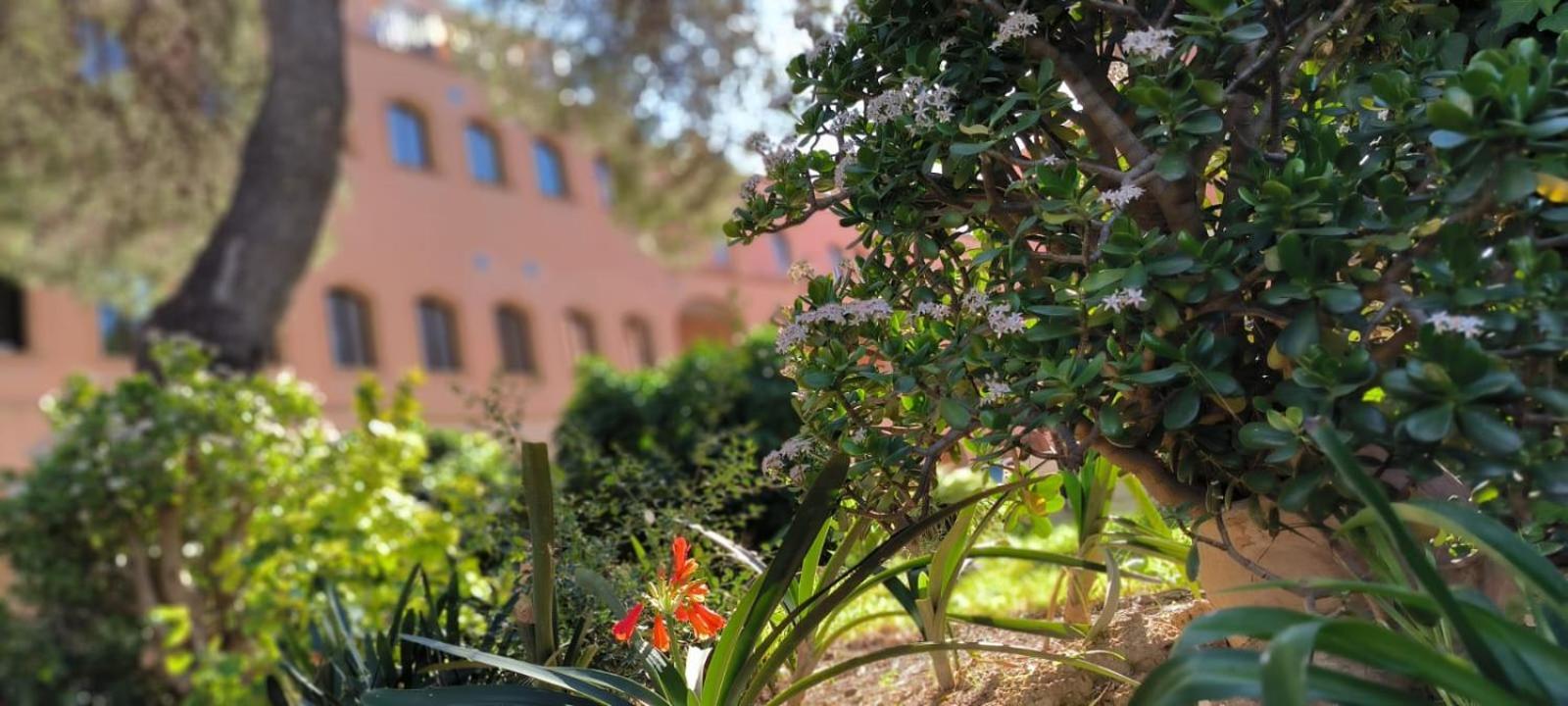 Albergue Rosa Molas Arrabal de Jesus Екстериор снимка